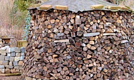 Jak skutecznie zabezpieczyć drewno kominkowe przed zimą